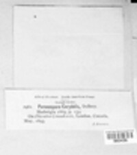 Image Associated With the Occurence